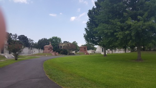 20180713_104538_resized